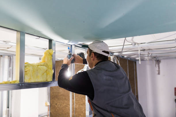 Types of Insulation We Offer in Boston, GA