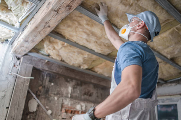 Best Blown-in Insulation in Boston, GA