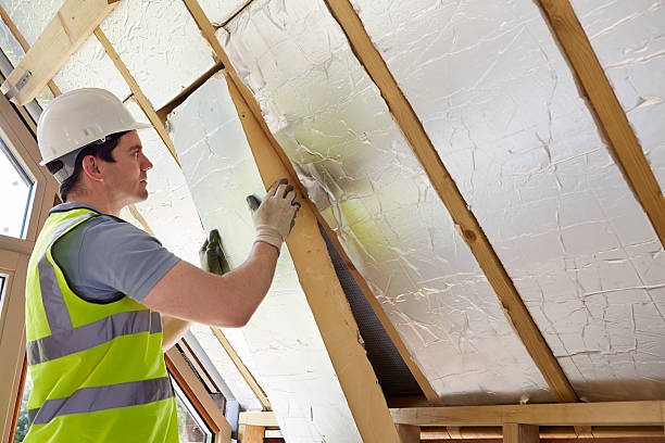 Best Cellulose Insulation in Boston, GA