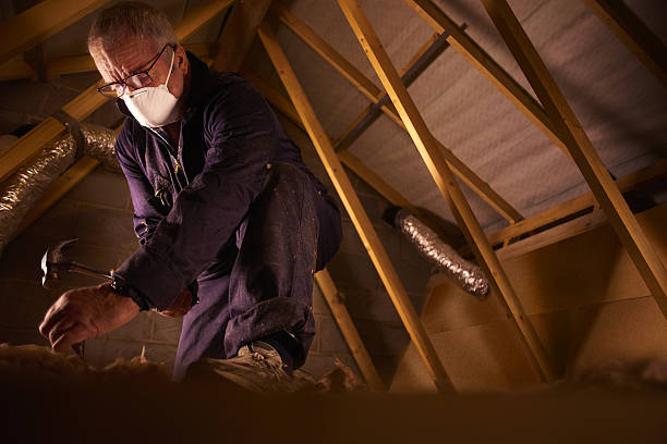 Best Specialized Insulation Services in Boston, GA